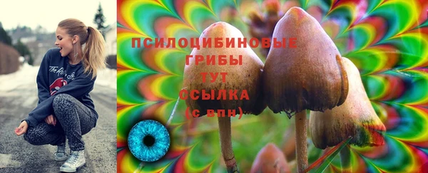 мефедрон мука Алексеевка