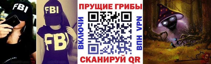 Псилоцибиновые грибы GOLDEN TEACHER  hydra как войти  Самара  как найти наркотики 